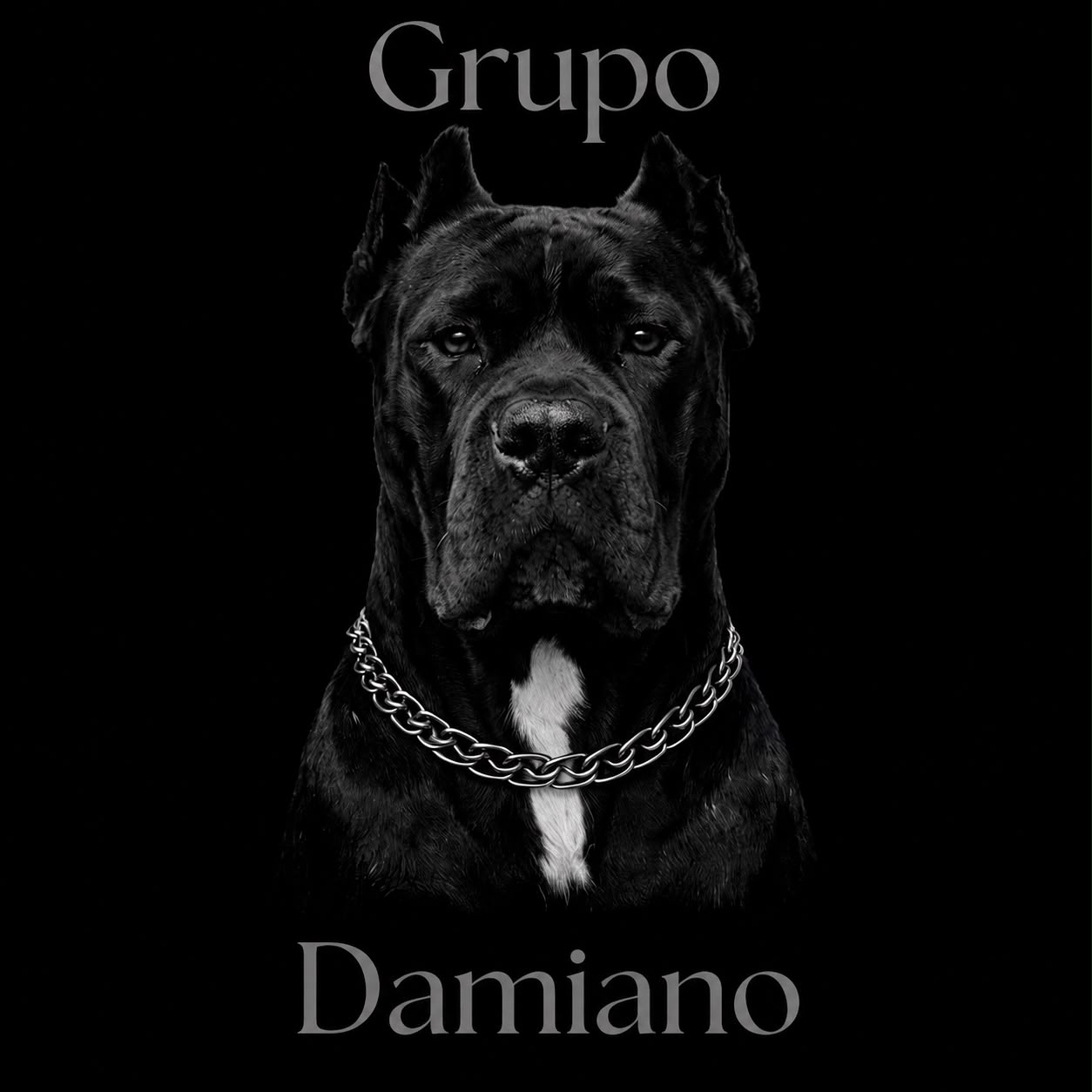 Logo de Damiano Bazar